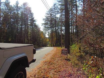 Lots And Land for sale in Lot # 49 Buttermilk Hill Road, Wells, NY, 12190