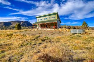 14310 W US HWY 160, Pagosa Springs, CO, 81147