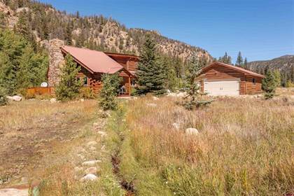 593 County Road 54, Almont, CO, 81210