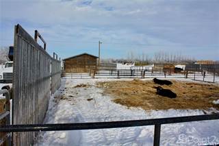 Wilson Farm, Rosedale Rm No. 283, Saskatchewan