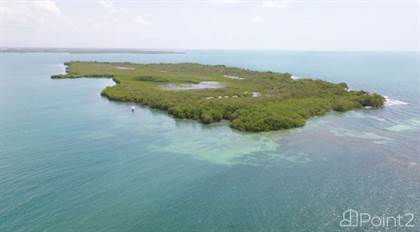 Picture of Islands near Placencia, Placencia, Stann Creek
