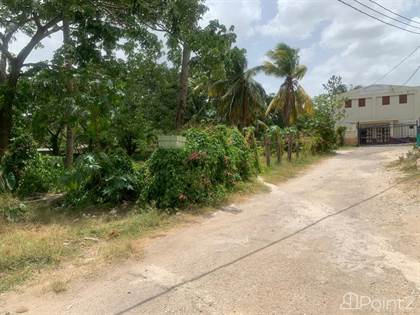 Land For Sale at JEWEL CLOSE SANTA CRUZ St. Elizabeth Santa Cruz, Santa ...