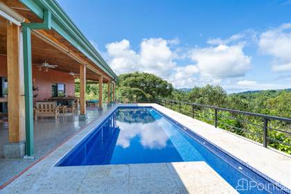 Executive Estate Ocean View property with 3 extra building sites - 19 Acre, Platanillo, Puntarenas