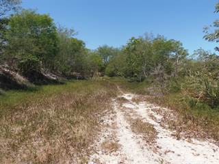 Residential Property for sale in PRIME Location for Development with Cenote; Sierra Papacal, Merida Municipality, Yucatan