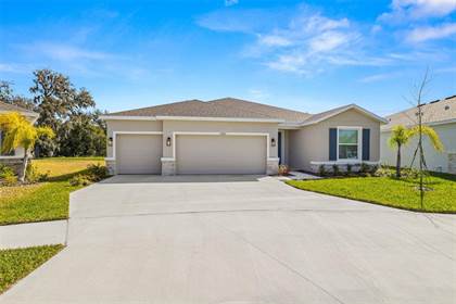 Picture of 13862 WHISKEY DAISY DRIVE, Dade City, FL, 33525