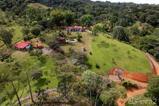 Impressive Mountain Estate with Rental Cabin, Dominical, Puntarenas
