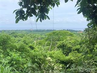 Spectacular private ocean view farm in Tamarindo, Costa Rica, Tamarindo, Guanacaste