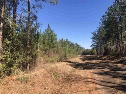 Lots And Land for sale in 0 Spitchley Road, Hazlehurst, MS, 39083