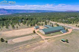 1480 Higby Road, Black Forest - Peyton CCD, CO, 80921