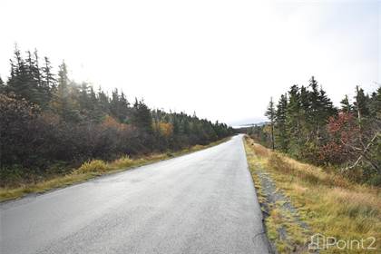 Lot 14 Deans Road, Witless Bay, Newfoundland and Labrador, A0A 4K0