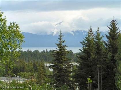 Picture of 4430 E Hill Road, Homer, AK, 99603