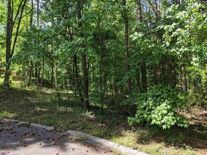 Picture of 0 Creek Bottom Drive, Cayce, SC, 29033