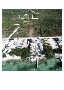 Picture of Owner Finance lot at Ambergris Bay secret beach , Ambergris Caye, Belize