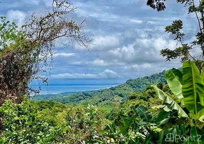 Lagunas, Manuel Antonio, Puntarenas — Point2