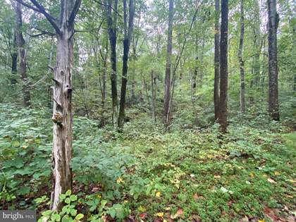Picture of Lot 21 CHIMNEY HOLLOW ROAD, Syria, VA, 22743