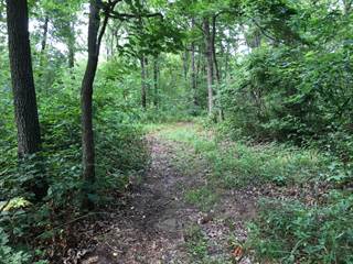 00 Old Highway 13 Lot 6, Collins, MO, 64738