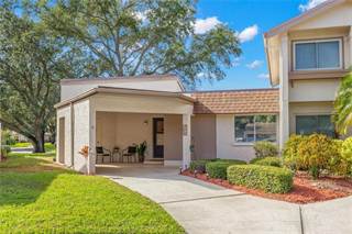 2751 SAND HOLLOW COURT 2751, Clearwater, FL, 33761
