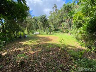 2.4 ACRES - Private Mountain View Property Road Close To Town With Two Building Sites!!!, Platanillo, Puntarenas