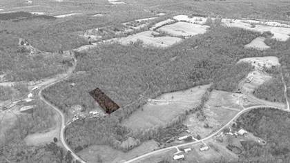 Picture of 1998 (Tract 8) Vine Hill Road, Beaver Dam, KY, 42320