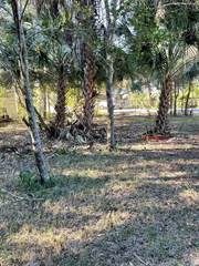 7306 EXTER WAY, Town 'n' Country, FL, 33615