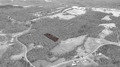Picture of 1998 - Tract 6 Vine Hill Road Lot 6, Beaver Dam, KY, 42320
