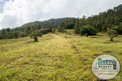 Picture of Jarabacoa Land (for Resort) Pinar Quemado, La Vega, La Vega