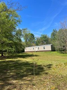 Picture of 13 SHADYHAVEN RD., Roxie, MS, 39661