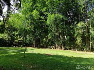 Residential Property for sale in BEJUCO, Flat lot ready to build close to beaches, Parrita, Puntarenas