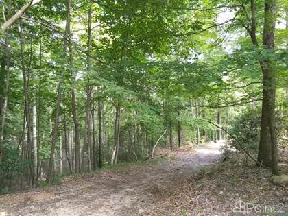 Picture of CARRS CREEK RD , Townsend, TN, 37882