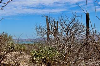 Lots And Land for sale in Lote Vista Montañas, La Paz, Baja California Sur