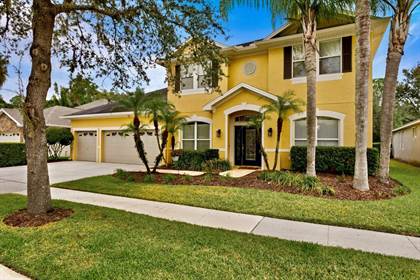 Picture of 16113 BRECON PALMS PLACE, Tampa, FL, 33647