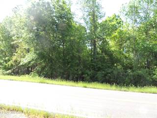 1.54 acre Causey Road, Knoxville, GA, 31050