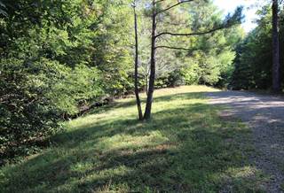 53 Fire Mountain Dr 1, Hayesville, NC, 28904