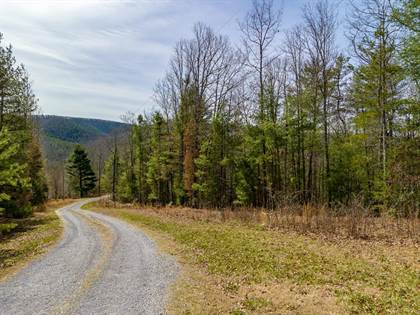 Picture of Lot 2 S Sunset Lane, Bland, VA, 24315