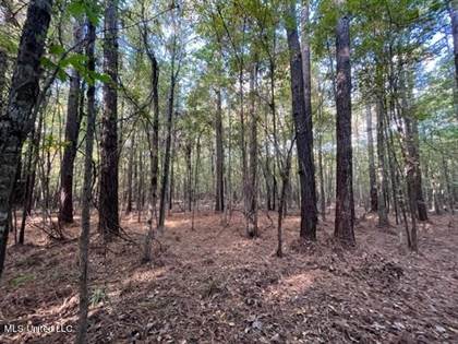 9.78 Ac Foster Road, Florence, MS, 39073