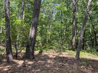 Lot 48-50 Millers Point, Quitman, AR, 72131