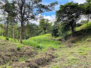Lots And Land for sale in Diamante Valley Property with Mountain View, Creek, and Usable Land for Cultivation - 4.9 Acres, Tinamastes, Puntarenas