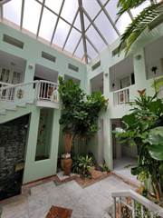 Propiedad residencial en venta en El Retiro calle Recreo #17, Caguas, PR, 00727