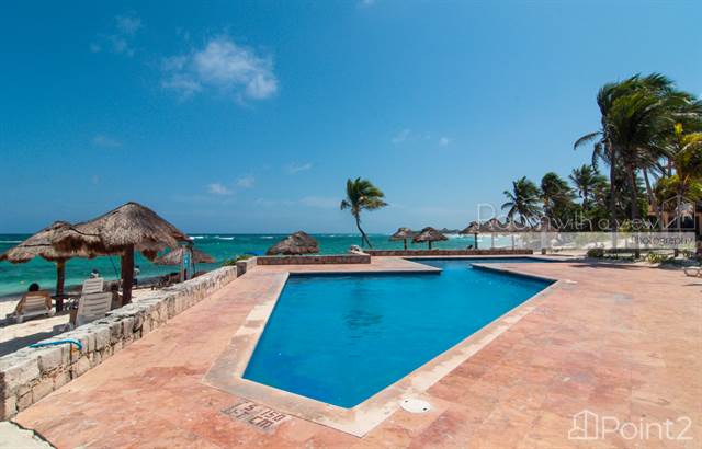 Junior Penthouse, Quintana Roo