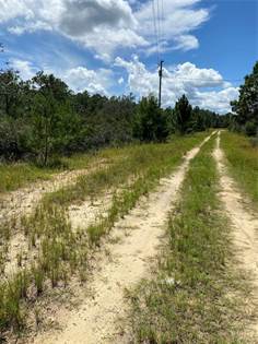 Land for Sale in Lake Wales, FL - Find Nearby Lots for Sale  Point2