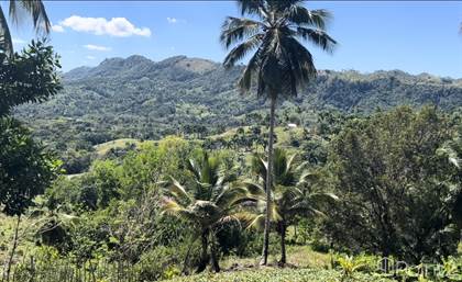Picture of Dream Countryside Land with Fruit Farm and House in Veragua for Sale, Gaspar Hernandez, Espaillat