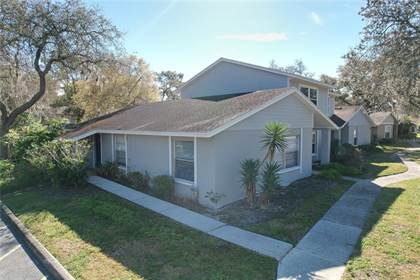14621 LAKE FOREST DRIVE, Tampa, FL, 33559