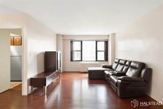 1 Bedroom Apartments For Rent In Concourse Village Ny