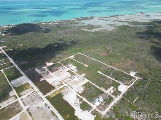 Palmaya Woods Properties, Ambergris Caye, Belize