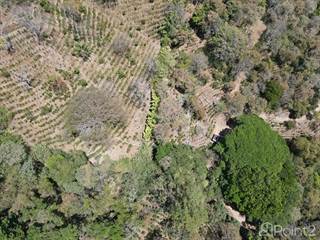 Lots And Land for sale in Farm for Sale in Atenas, with Views, Spring Water, Waterfall, Development Potential. Price Reduced!, Atenas, Alajuela