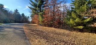 N Timber Bay Ave Lot 17, Friendship, WI, 53934