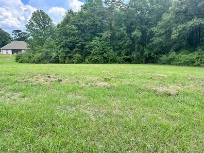 0 Bay Meadows Dr Lot 74 & 75, Carriere, MS, 39426