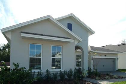 Residential Property for sale in Tbd BLUELEAF STREET, Orlando, FL, 32832