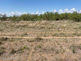 624 acres on CR 30, Hedley, TX, 79237