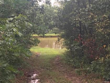 Picture of 0 County Road 518, Ironton, MO, 63650